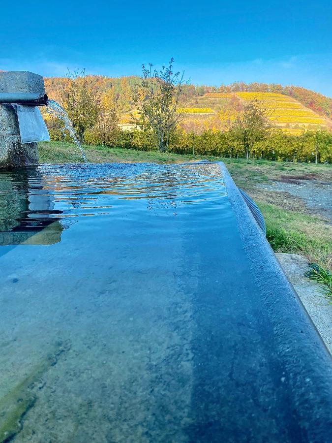 Farm stay Pian Del Duca