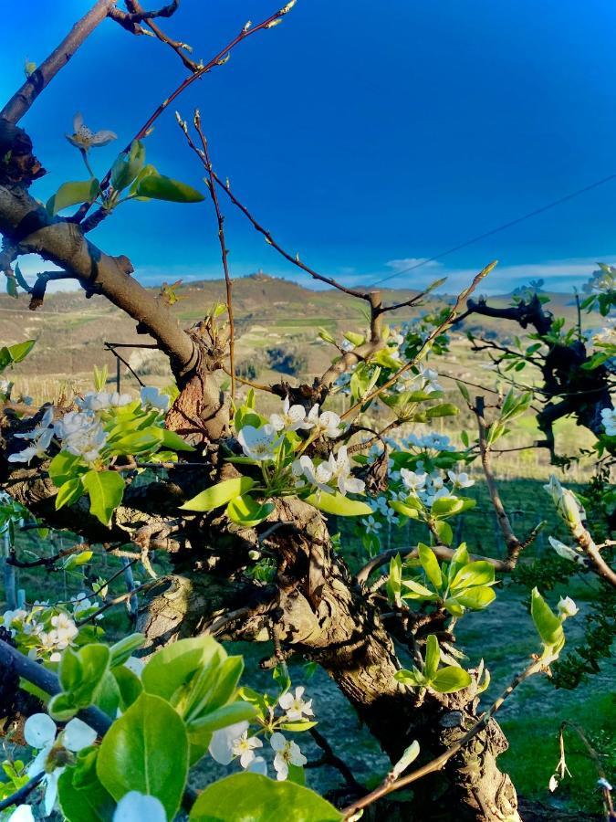 Alloggio per agriturismo Pian Del Duca Vesime