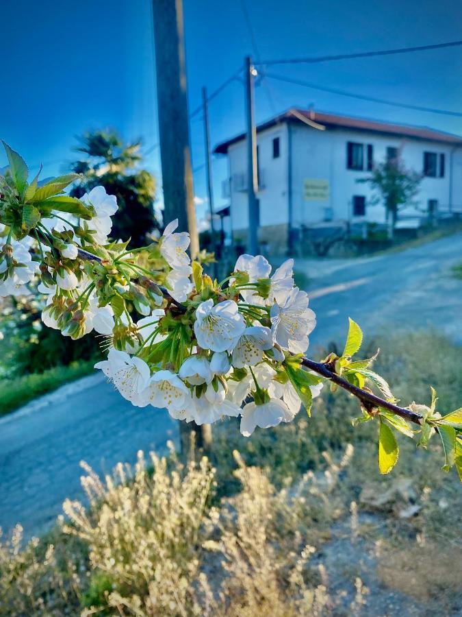 Pian Del Duca * Vesime